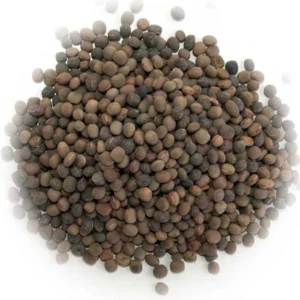 Vetch Seeds