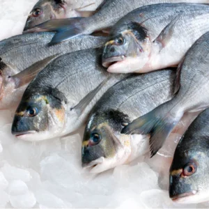 Frozen Fish