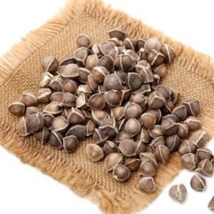 Moringa Seeds