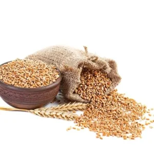 Wheat Grain
