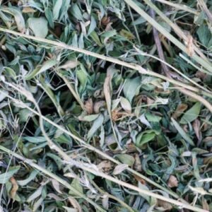 Lucerne Hay